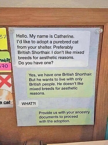 no mixed catowner