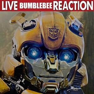 new-bumblebee-reaction-image-fresh-out-of-the-meme-factory-v0-a0ap3pi3ap0b1