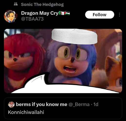 muslim sonic the hedgehog 3 movie meme konnichiwallahi