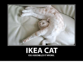 Funny-cats-Ikea-Cat2