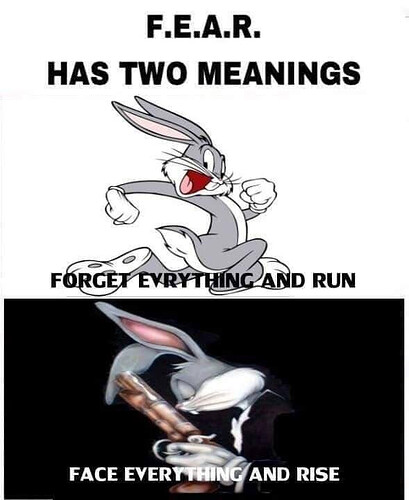 bugs bunny pic that goes hard looney tunes