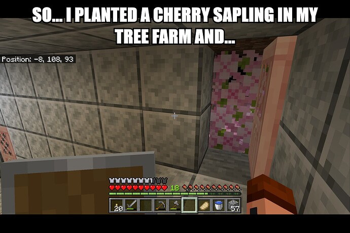Minecraft 6_13_2024 10_23_48 AM (2)