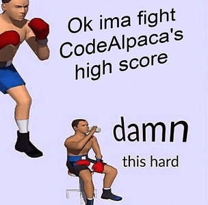 Ok ima fight CodeAlpaca's high score ■■■■ this hard boxer meme