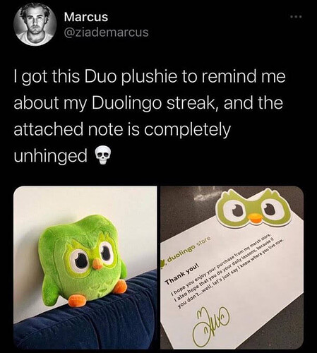 duolingo plushie meme