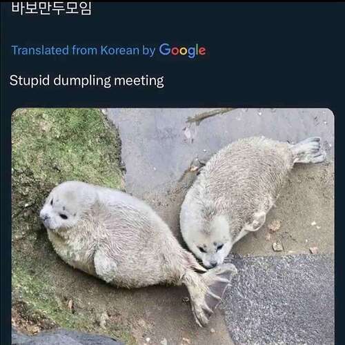 RDT_20250220_1713456383575062110008625