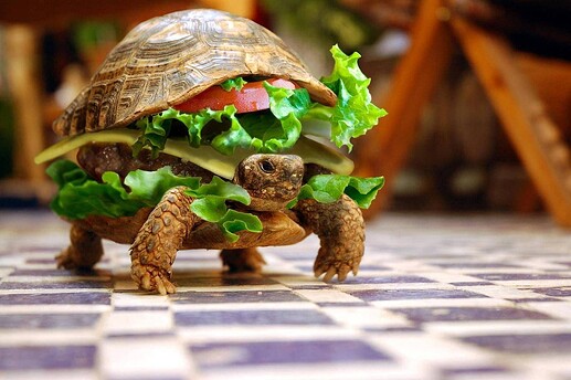 turtle_burger