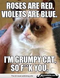 Image result for grumpy cat memes