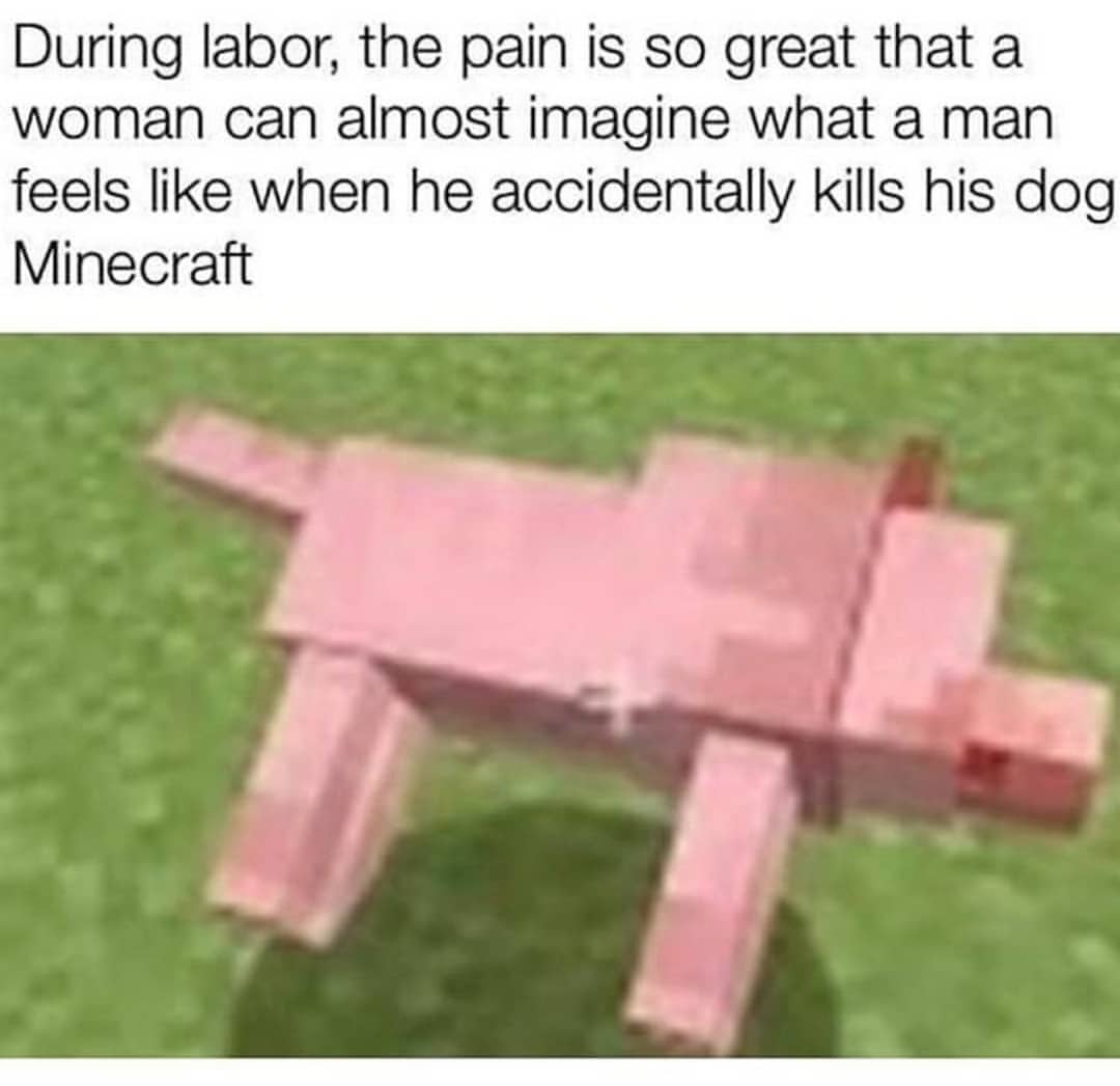 When he accidentally kills his dog Minecraft meme - AhSeeit