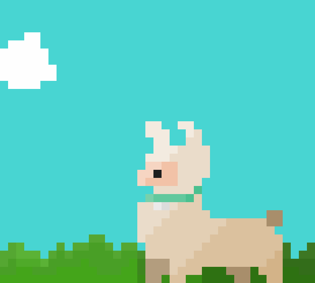 alpaca (2)