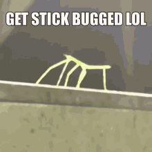 get-stick-bugged-lol