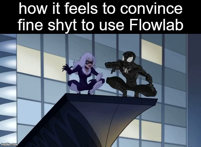 how it feels to convince fine shyt to use flowlab (Black Cat and Spider-Man Spectacular Spider-Man Flowlab meme)