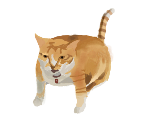 2025_04_20_0z5_Kleki_04_Layer 4