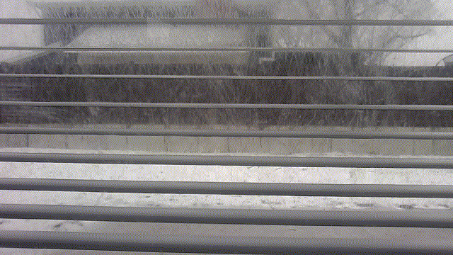 VID_20250306_145906