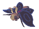 deathmoth