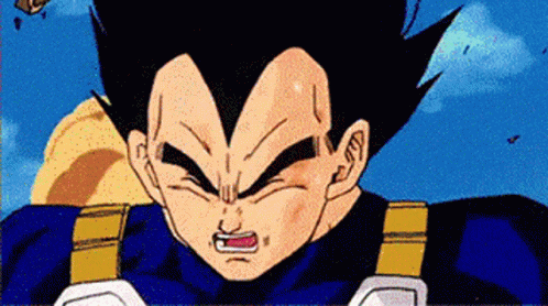 vegeta-anger