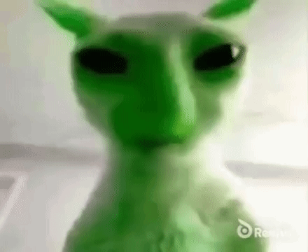 green-alien-cat
