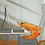 Rando_on_the_internet